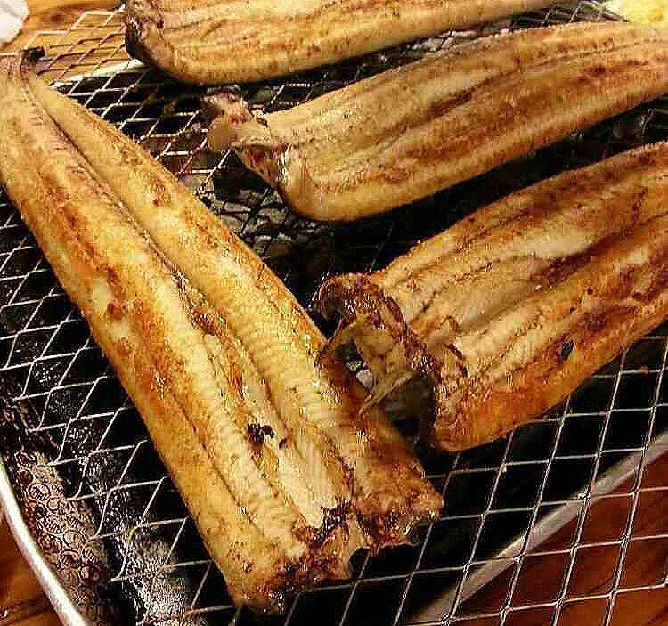 경기 광주 소금구이 장어 '숲속장어촌'