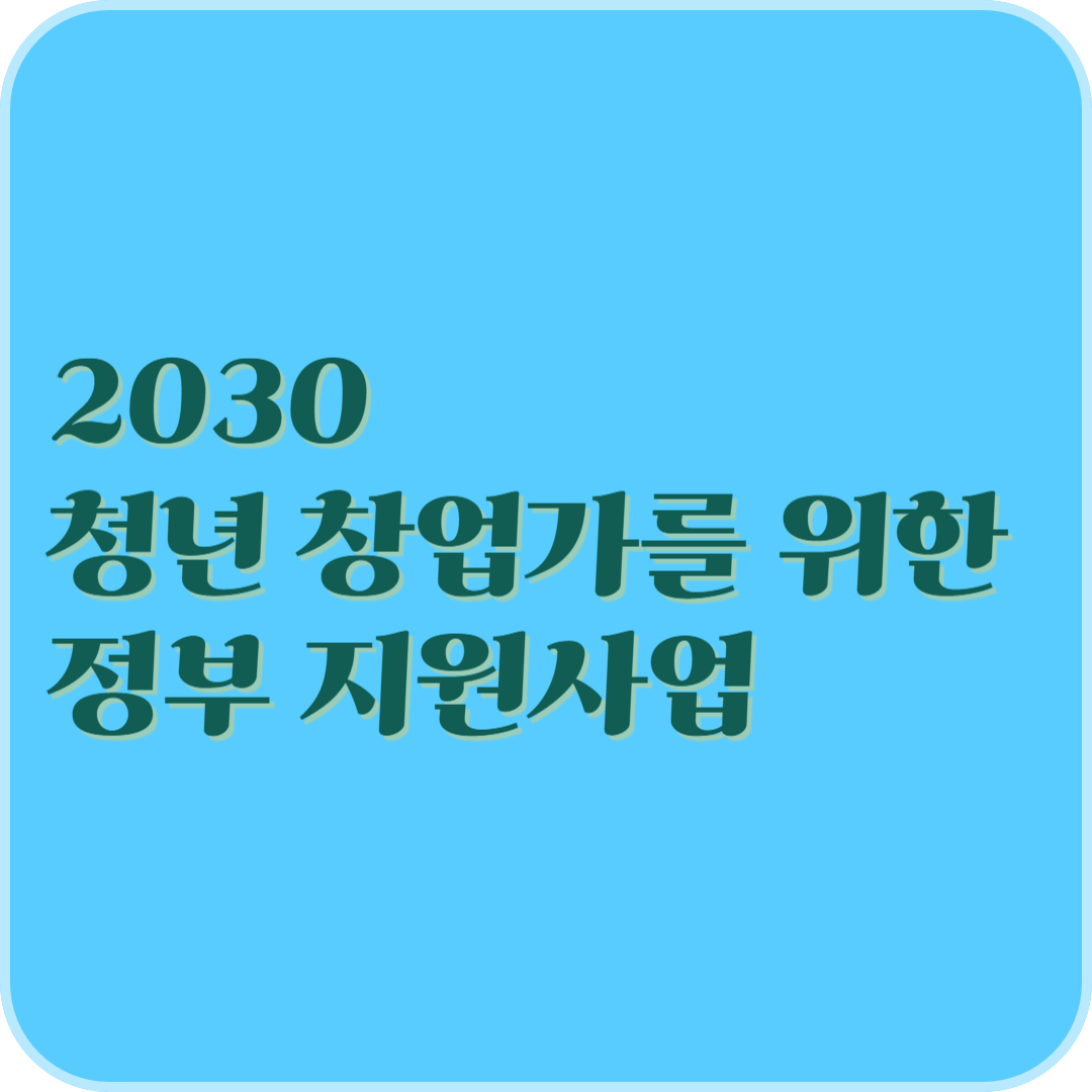 2030 청년 창업가를 위한 정부 지원사업