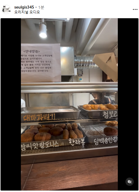 분당맛집
서현동맛집
간식
제주돌담꽈배기
꽈배기
분당디저트
율동공원