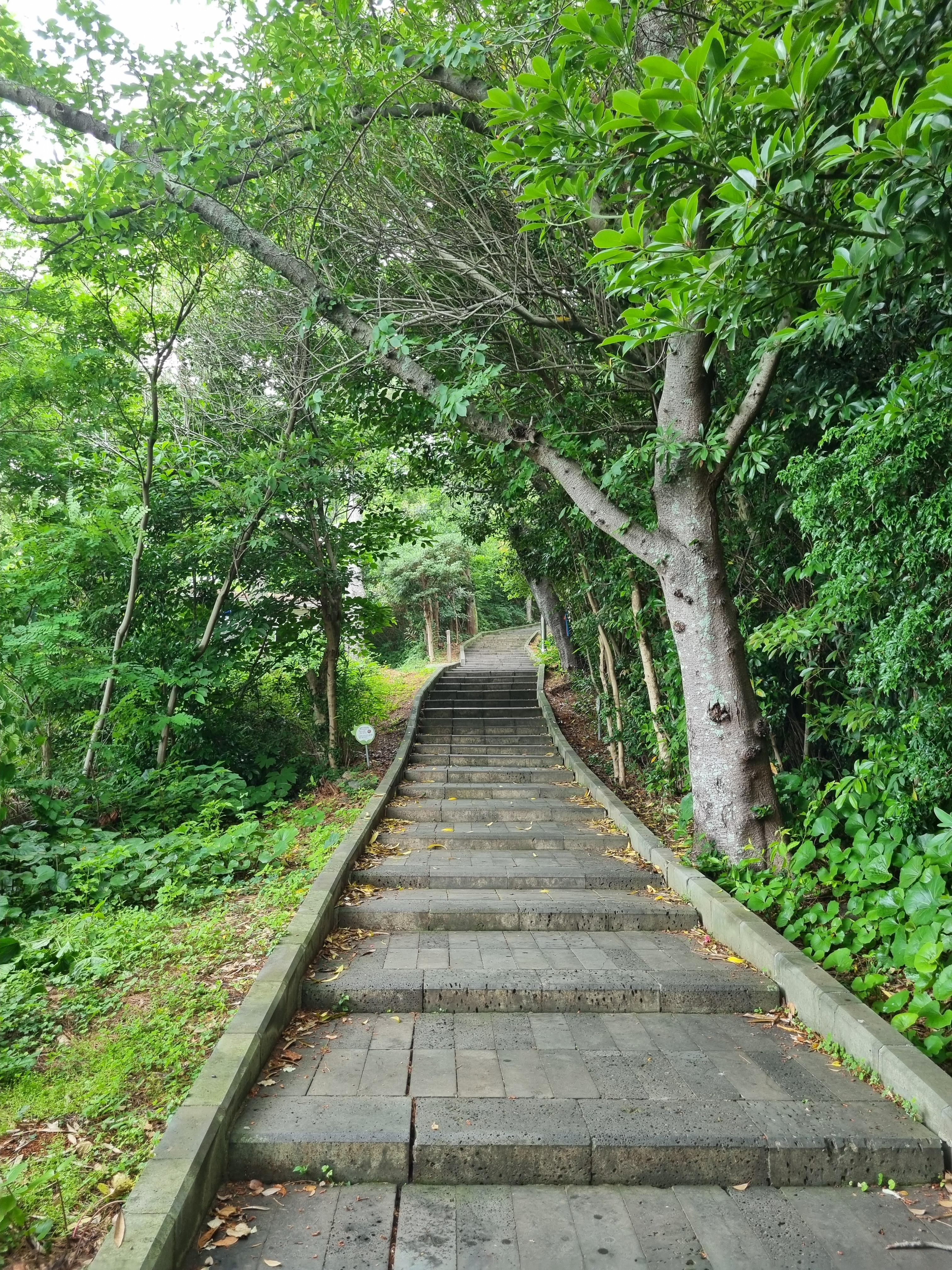 Jeju Olle Trail 18