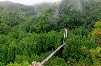 장태산 자연휴양림