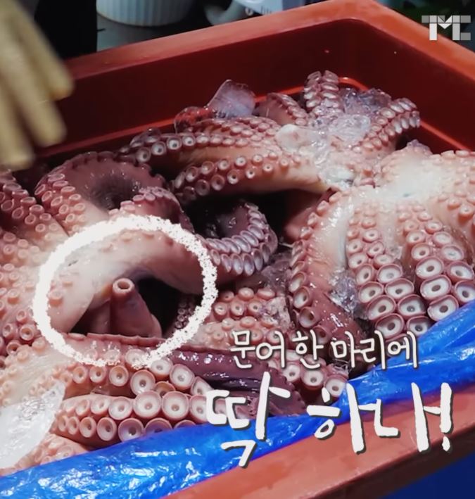 문어코