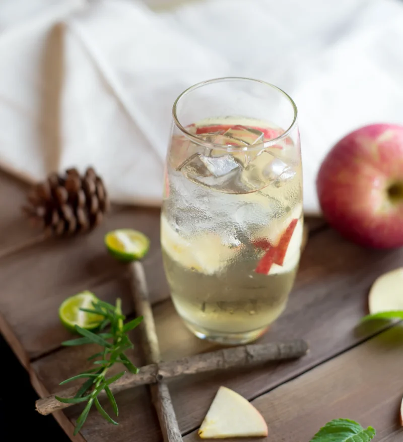 애플사이다비네거 효능