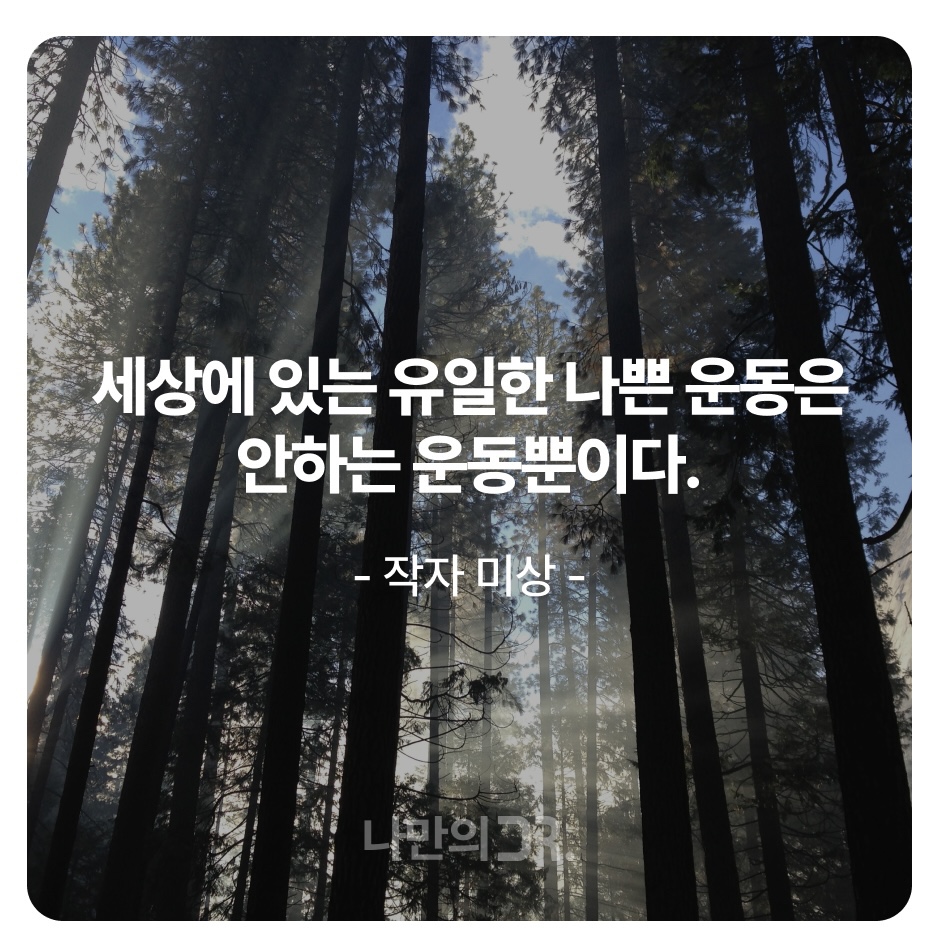 허리 디스크