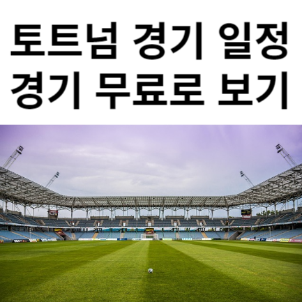 토트넘경기일정