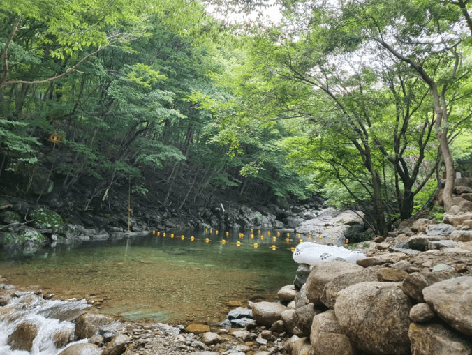 광양-어치계곡