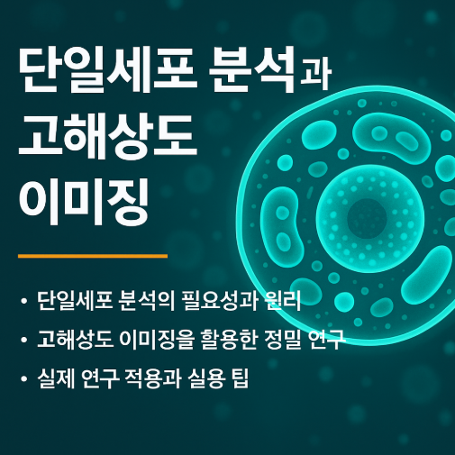 썸네일 단일세포 고해상도 이미징 간단 설명