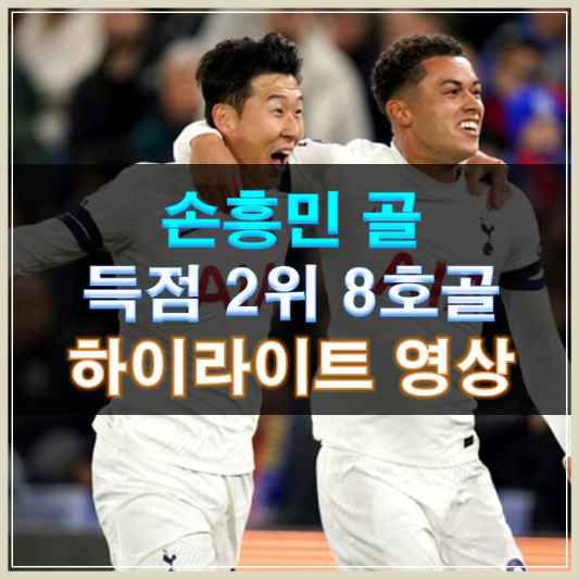 t썸네일-손흥민 골 득점 2위 8호골 하이라이트 영상