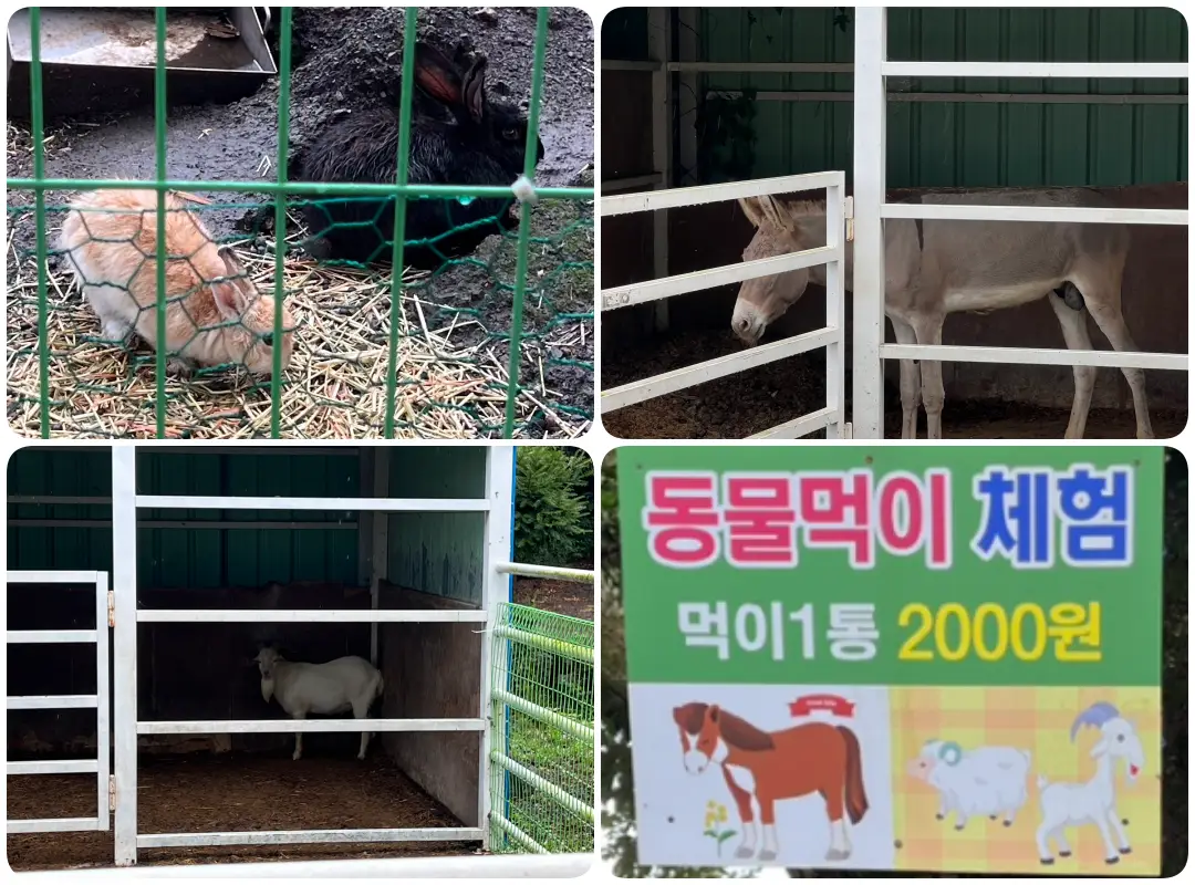 제주빵집 정문에 위치한 동물먹이 체험장 사진 입니다.