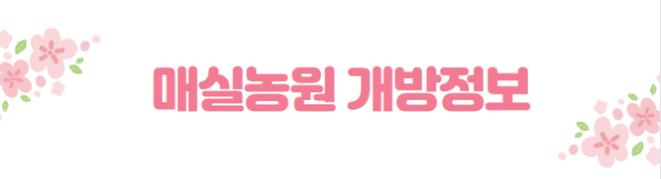 봄꽃 여행지