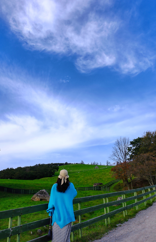 대관령 양떼 목장과 하늘