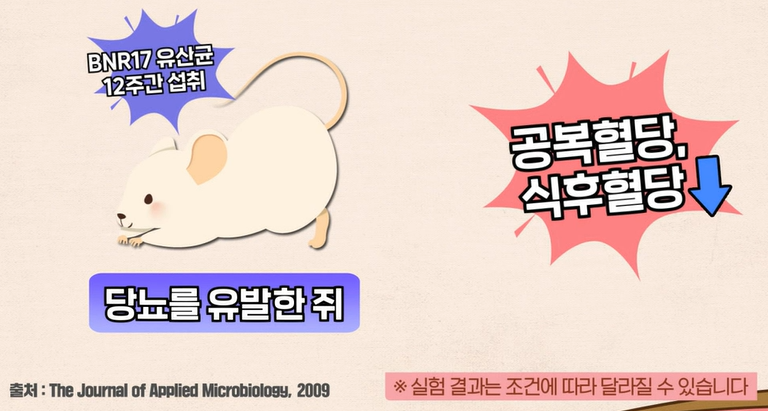 bnr17유산균 효능