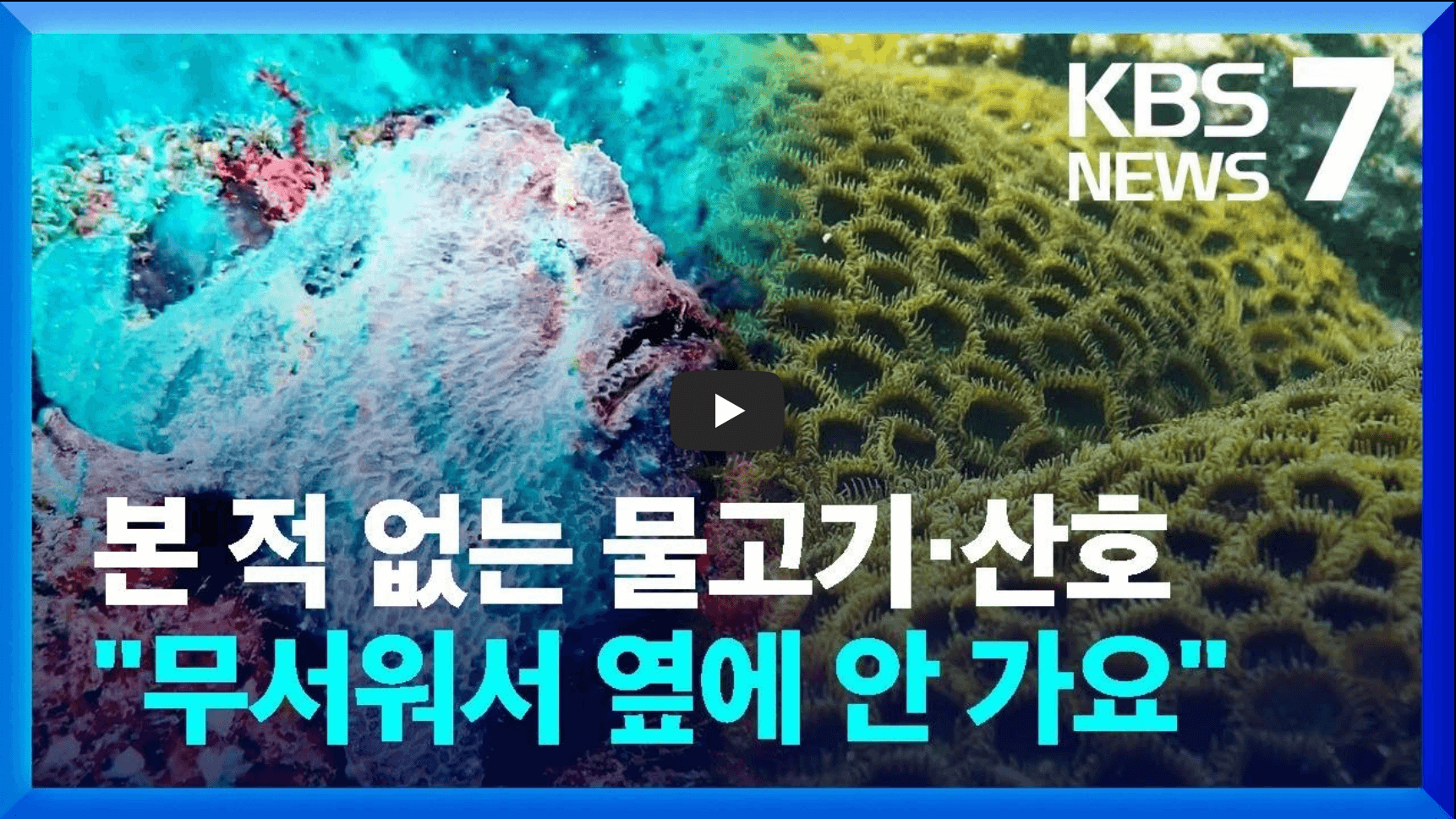 제주도 해수온 상승 영상 섬네일