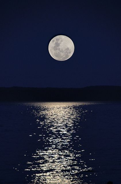 cover-img
