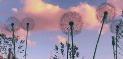 서울근교 단풍 명소 추천