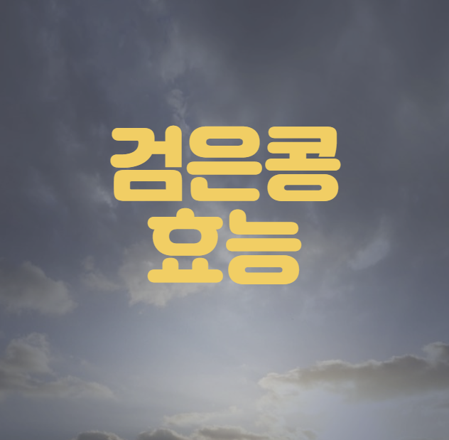 검은콩 효능