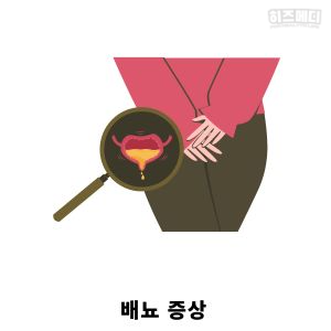 갱년기 증상