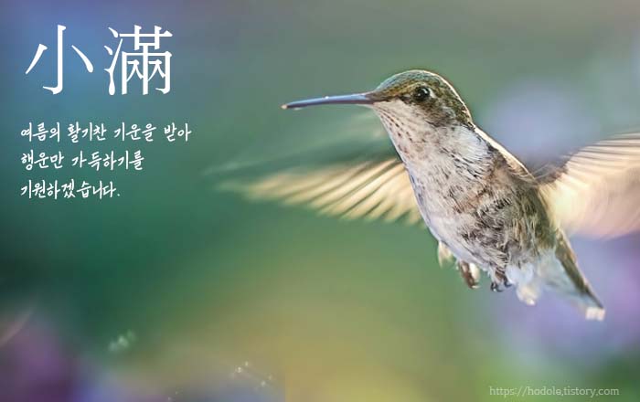 행운2