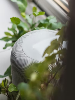 공기청정기 가격 성능별 예산 및 유지비 완벽 가이드