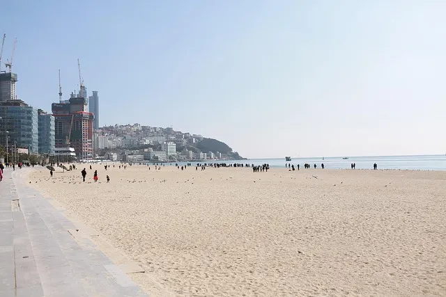 전국 해수욕장 개장일 폐장일