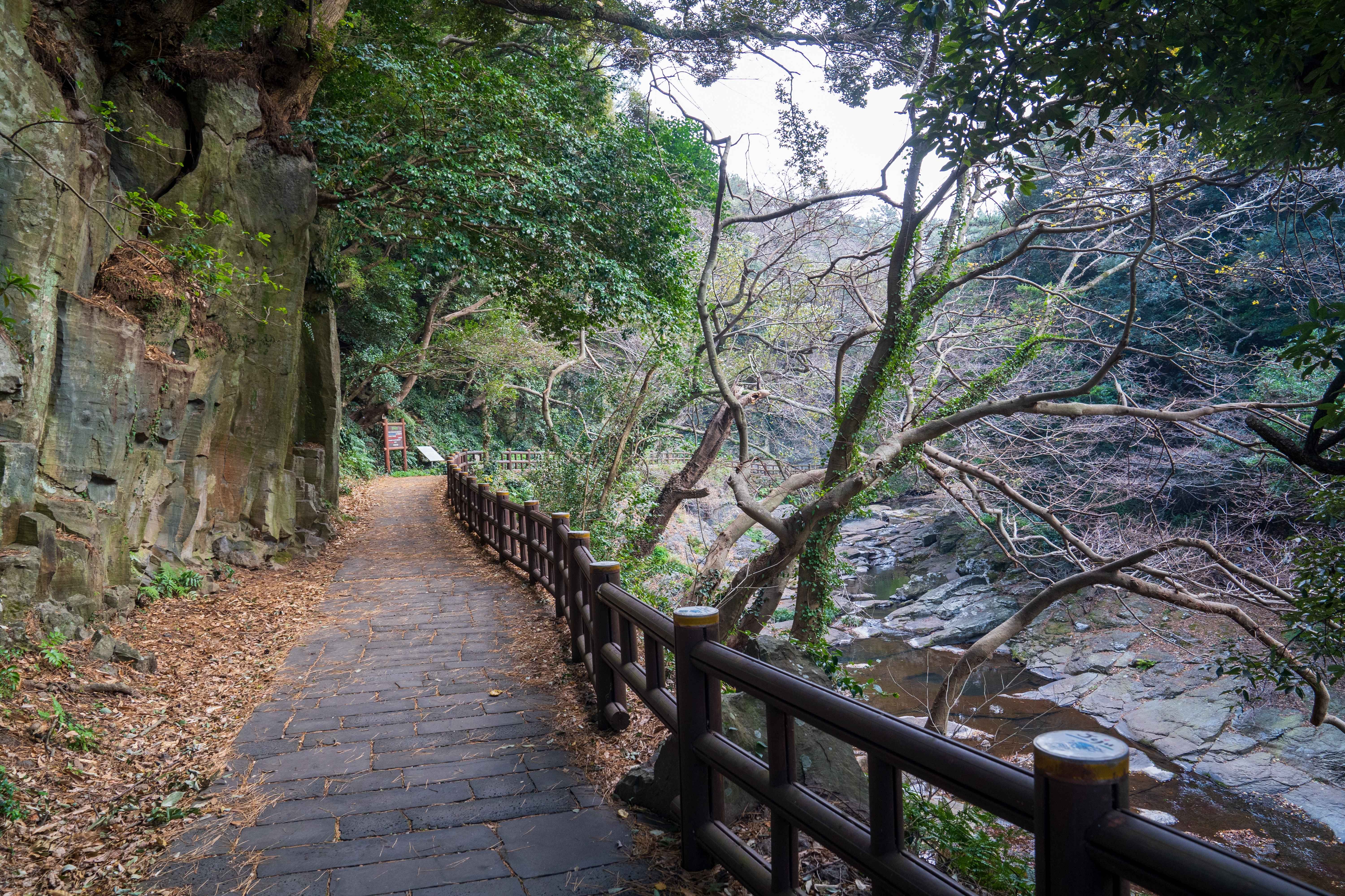 제주도 안덕계곡 사진