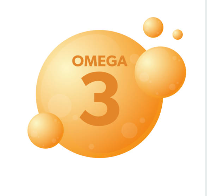 오메가 3