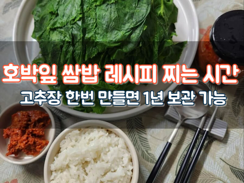 호박잎찌는시간 호박쌈 찜 손질 칼로리 효능 쌈밥 만드는 법