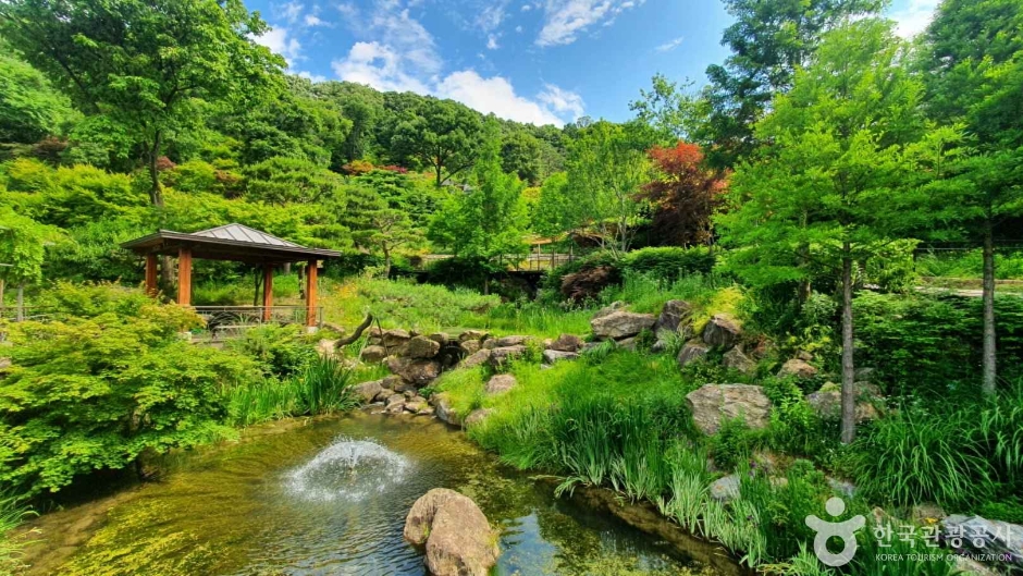 서울 근교 힐링여행 화담숲🌿예약 방법