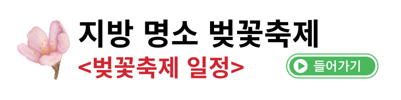지방벚꽃축제일정