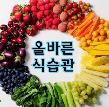 다이어트효과-엑기스