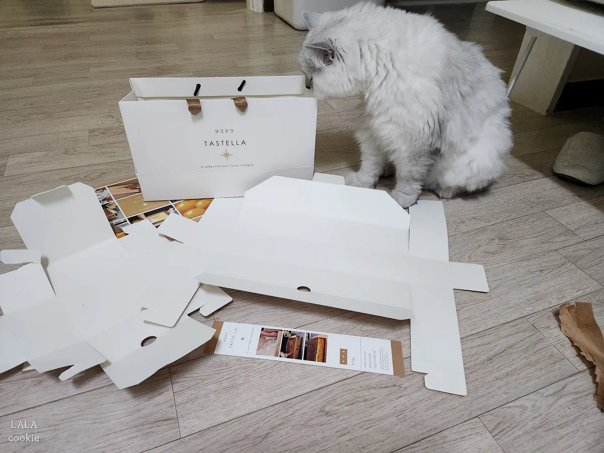 대구-중구-베이커리-카페-대봉정-카스테라-포장-분리