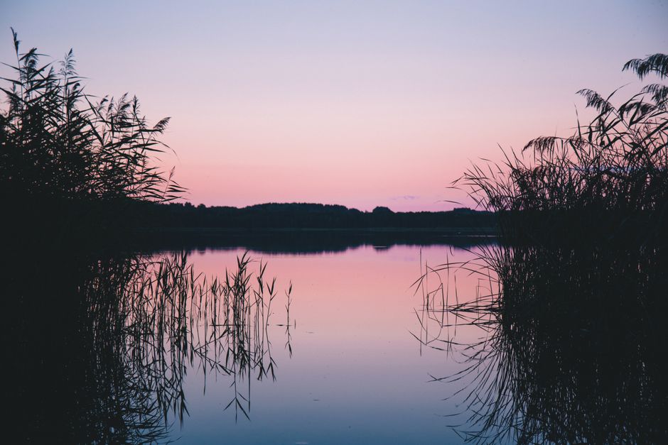 Serene twilight scene of a calm lake with stunning reflections and silhouettes of plants.