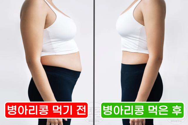 병아리콩 매일 먹으면 효능 하루섭취량 다이어트 유지