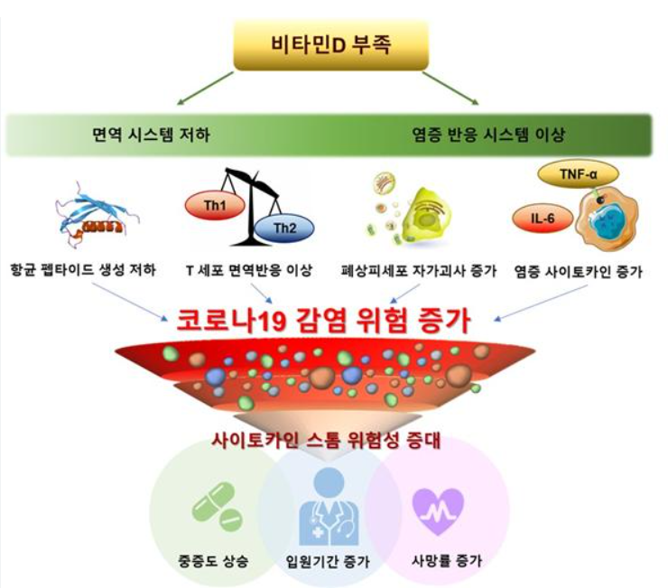 비타민D 결핍 예방 및 관리 방안 관련 이미지