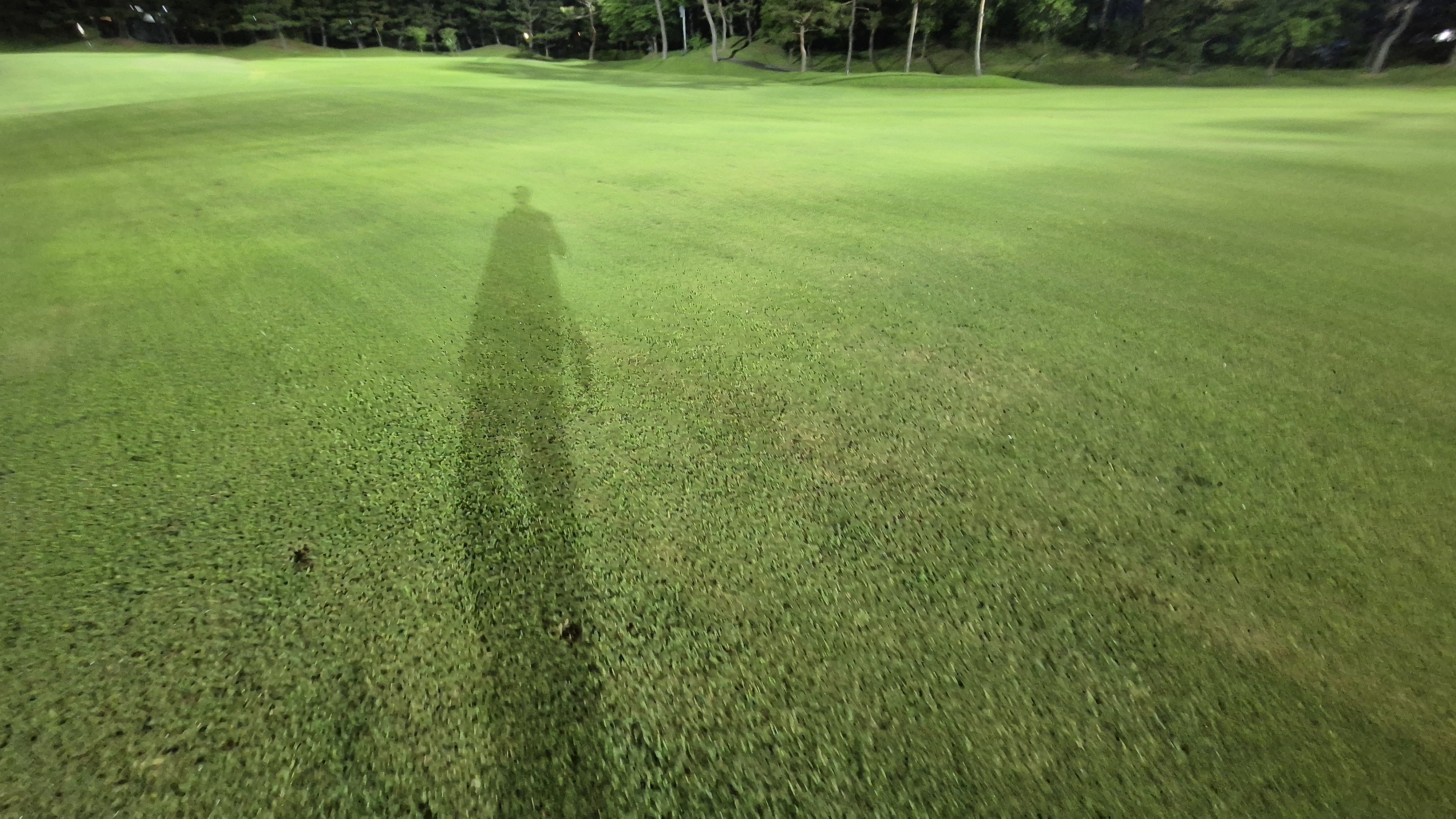 이포cc 라운드 후기