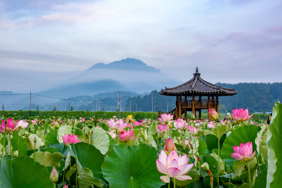 함안 가볼만한곳 베스트10