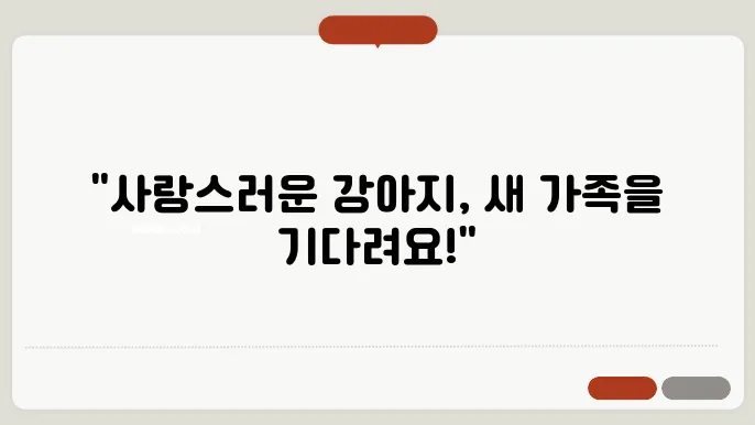 인천강아지보호소 강아지파양 입소절쳏 및 비용