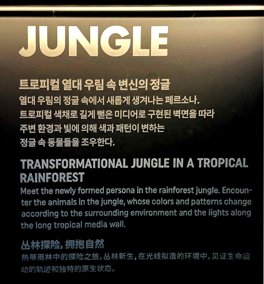 아르떼 뮤지엄 제주