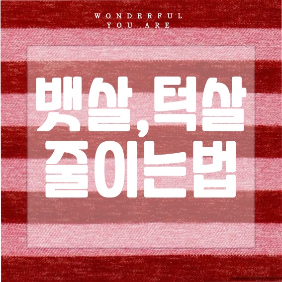 뱃살과 턱살 완전 정복 가이드