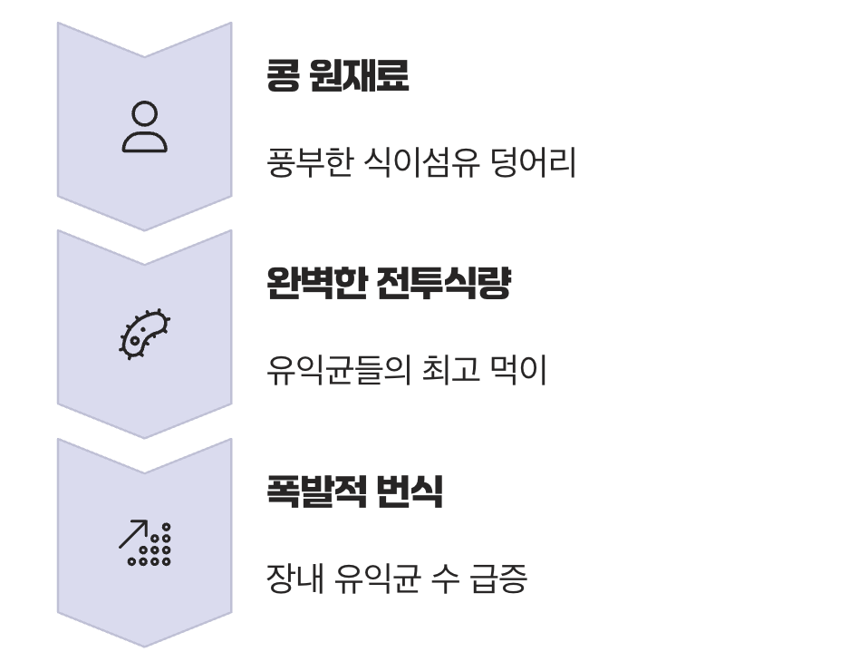 유익균의 완벽한 도시락, '식이섬유'