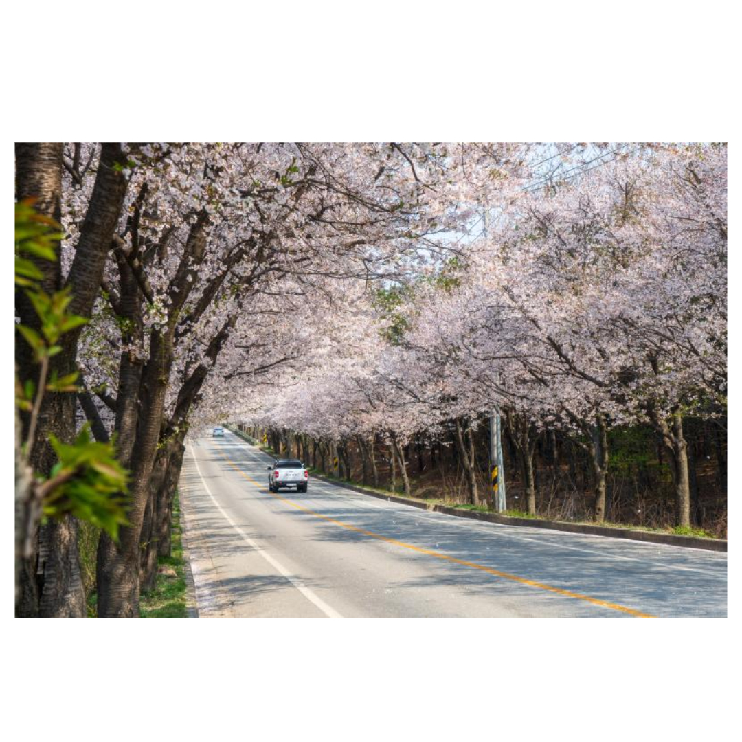 여주와 관련된 사진입니다.