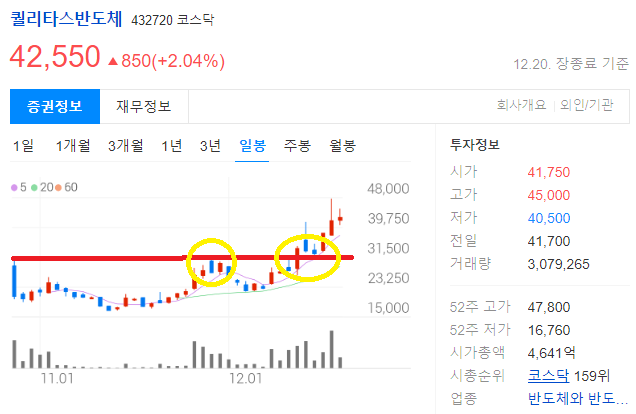 퀼리타스반도체 전 고점 갱신