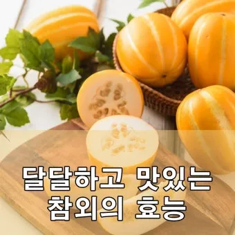 참외 효능 및 영양 정보 섭취 효과 정리_13