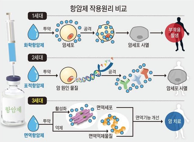항암치료제 작용원리