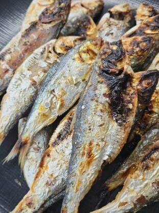 9월 제철 해산물