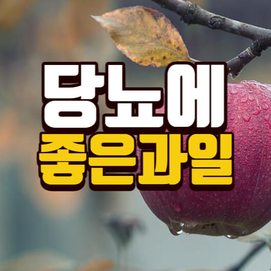 당뇨에좋은과일나쁜과일