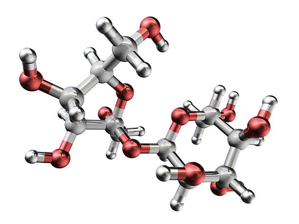 당화혈색소 자주 묻는 질문