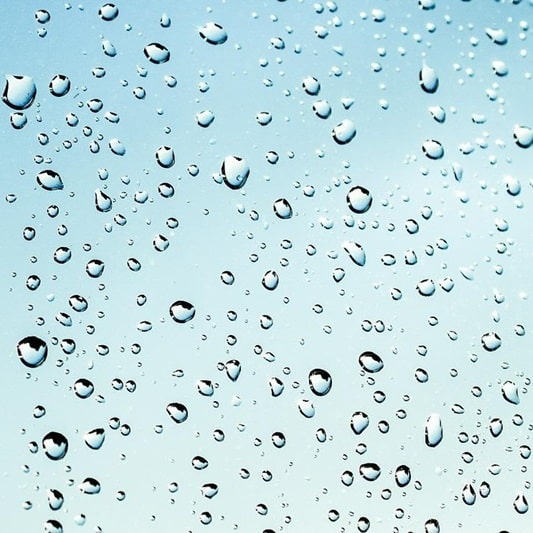 환절기 비염 증상