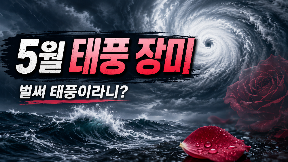 제6호 태풍 장미