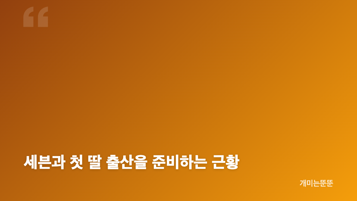 이다해 항저우 라이브 방송과 딴딴 협업 근황